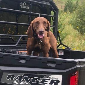 Meet your Posher, Austin